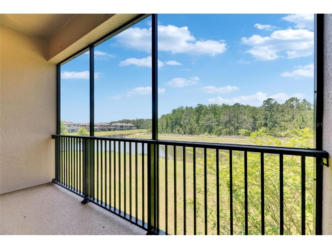 4899 Isola Court Wesley Chapel FL 33543 TB8442780 image65