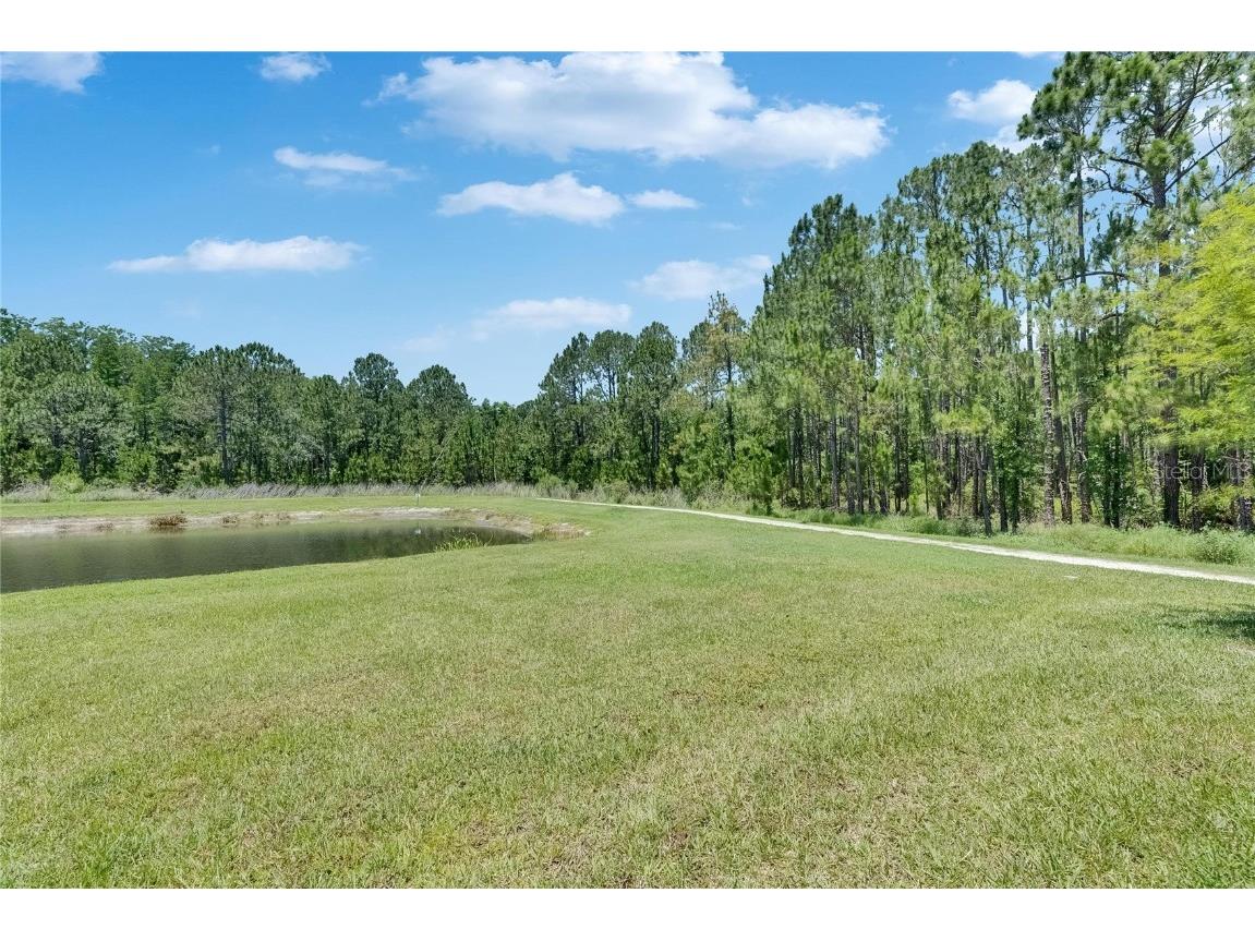 4899 Isola Court Wesley Chapel FL 33543 TB8442780 image72