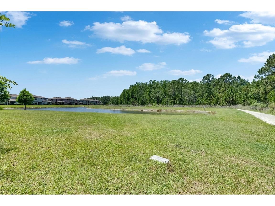4899 Isola Court Wesley Chapel FL 33543 TB8442780 image73