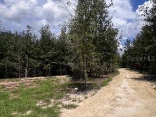 4899 NW 36th Street Bell FL 32619 GC533481 image35