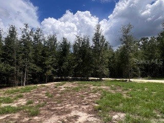 4899 NW 36th Street Bell FL 32619 GC533481 image36