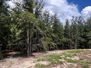 4899 NW 36th Street Bell FL 32619 GC533481 image37