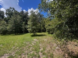 4899 NW 36th Street Bell FL 32619 GC533481 image40