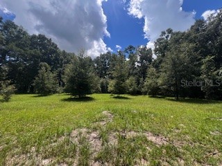 4899 NW 36th Street Bell FL 32619 GC533481 image41