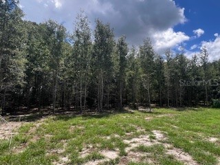 4899 NW 36th Street Bell FL 32619 GC533481 image43