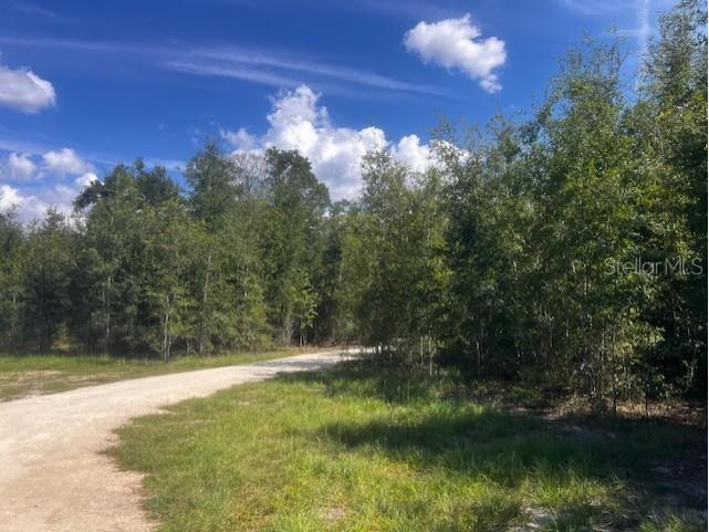 4899 NW 36th Street Bell FL 32619 GC533481 image47