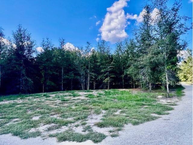 4899 NW 36th Street Bell FL 32619 GC533481 image52