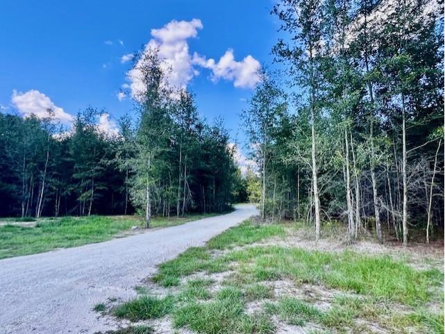 4899 NW 36th Street Bell FL 32619 GC533481 image53