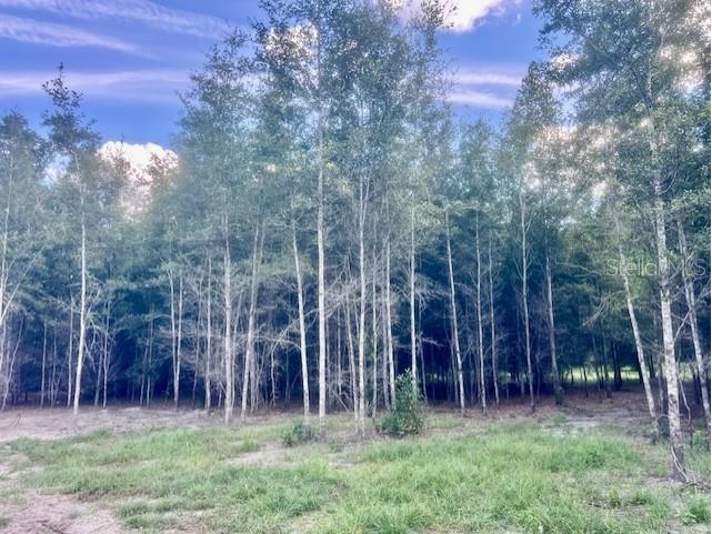 4899 NW 36th Street Bell FL 32619 GC533481 image54