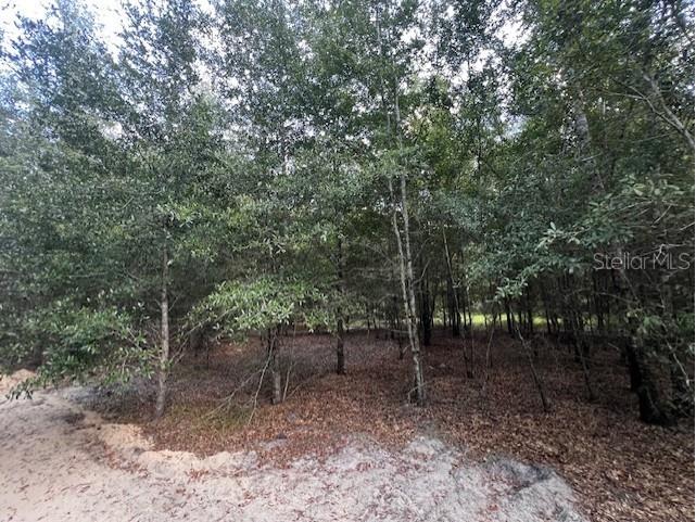 4899 NW 36th Street Bell FL 32619 GC533481 image55