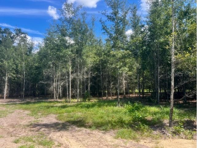 4899 NW 36th Street Bell FL 32619 GC533481 image56