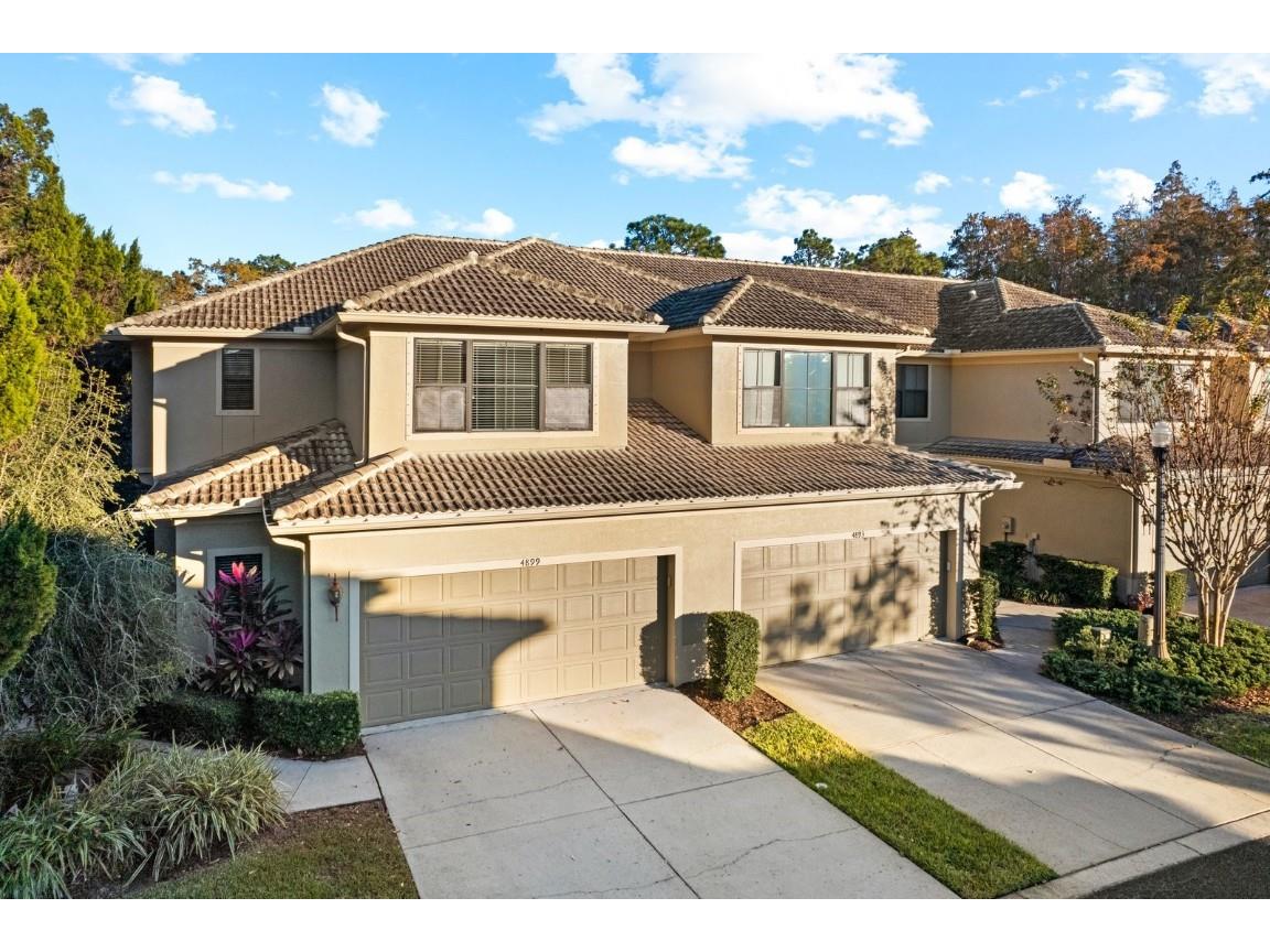 4899 Silverback Court Palm Harbor FL 34684 U8186220 image1