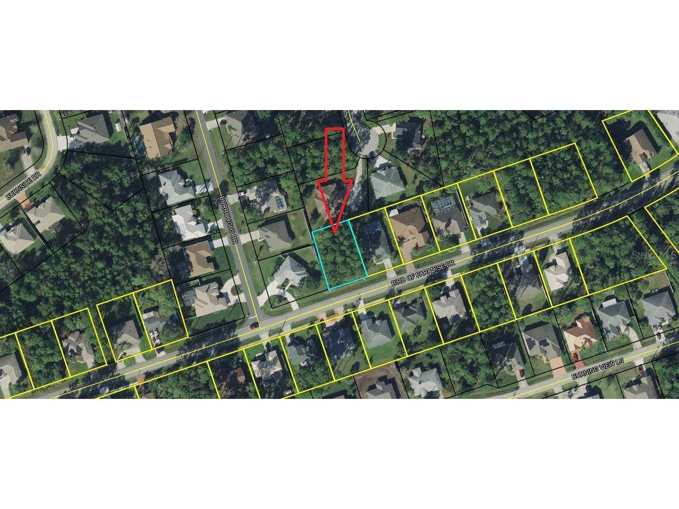 49 Bird Of Paradise Drive Palm Coast FL 32137 FC290666 image1