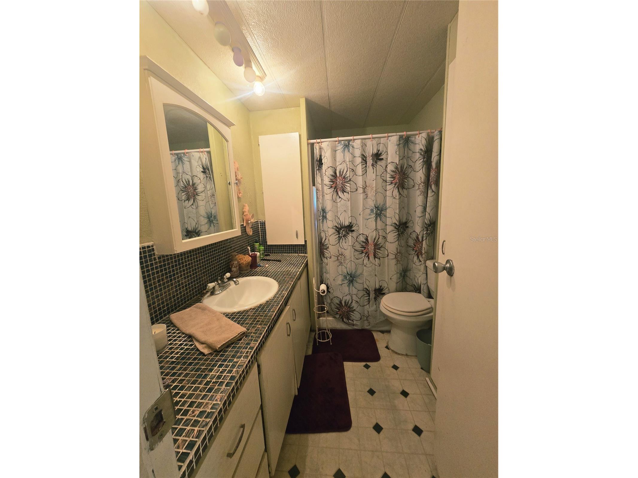 49 Drury Lane Tarpon Springs FL 34689 TB8525100 image17
