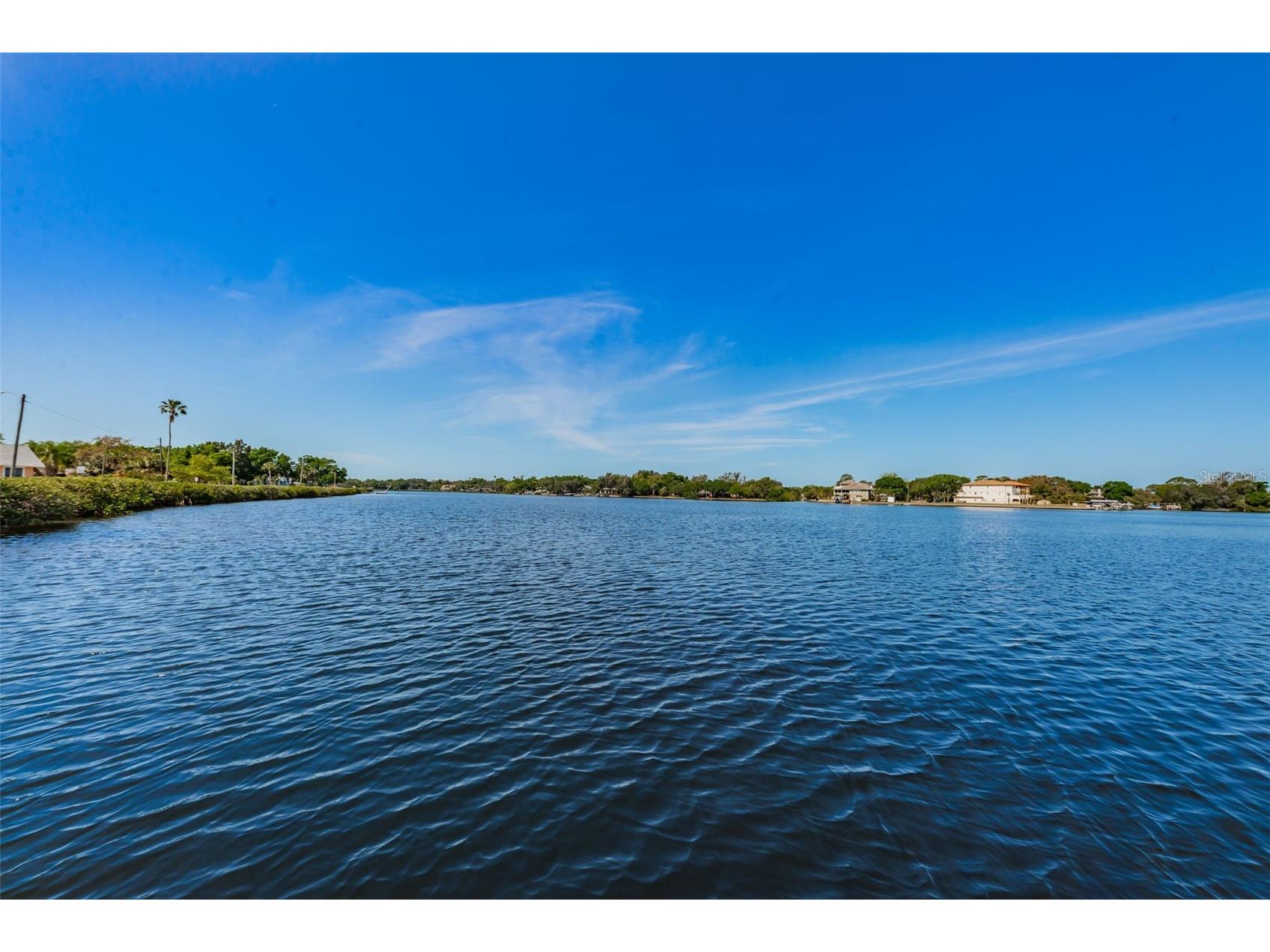 49 Drury Lane Tarpon Springs FL 34689 TB8525100 image43