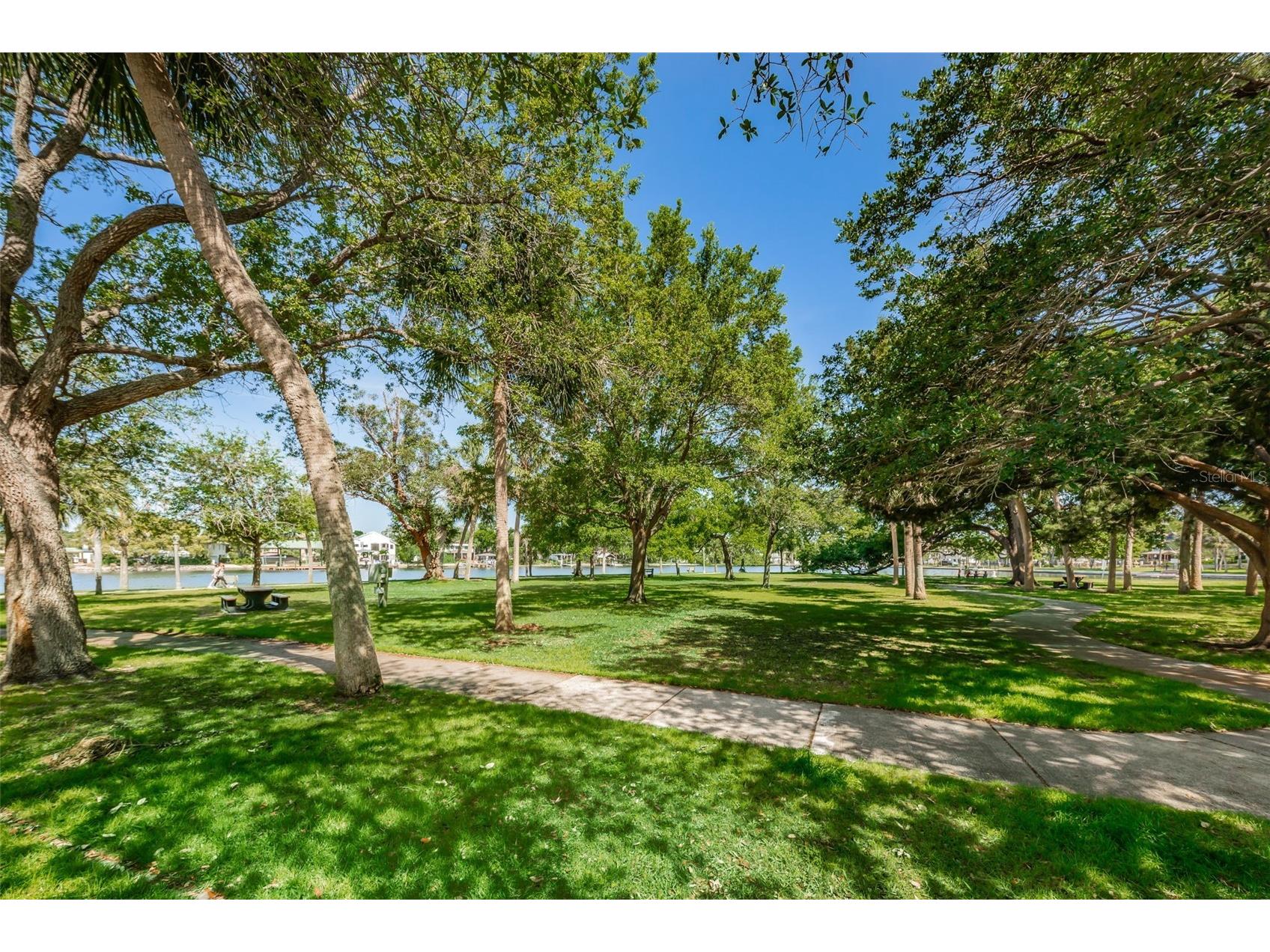 49 Drury Lane Tarpon Springs FL 34689 TB8525100 image46