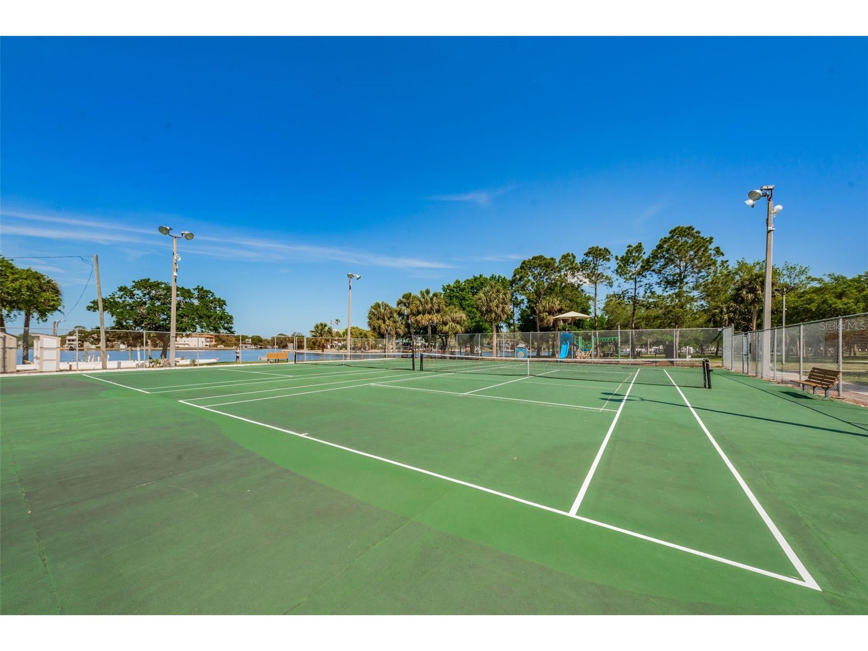 49 Drury Lane Tarpon Springs FL 34689 TB8525100 image48