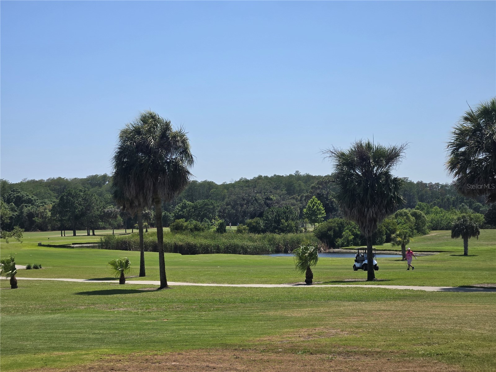 49 Drury Lane Tarpon Springs FL 34689 TB8525100 image60