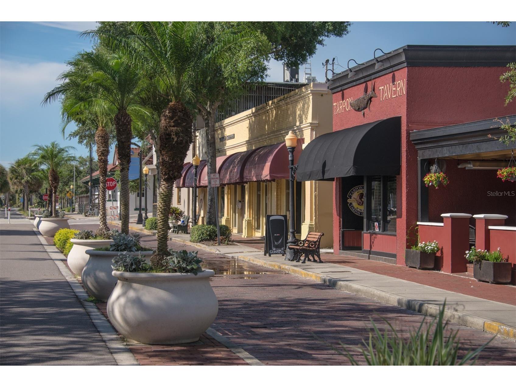 49 Drury Lane Tarpon Springs FL 34689 TB8525100 image64
