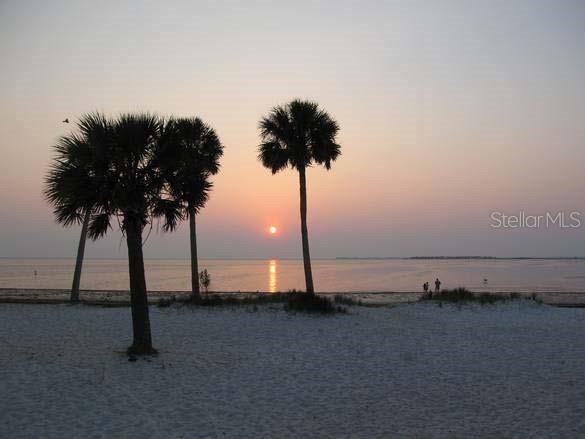 49 Drury Lane Tarpon Springs FL 34689 TB8525100 image69