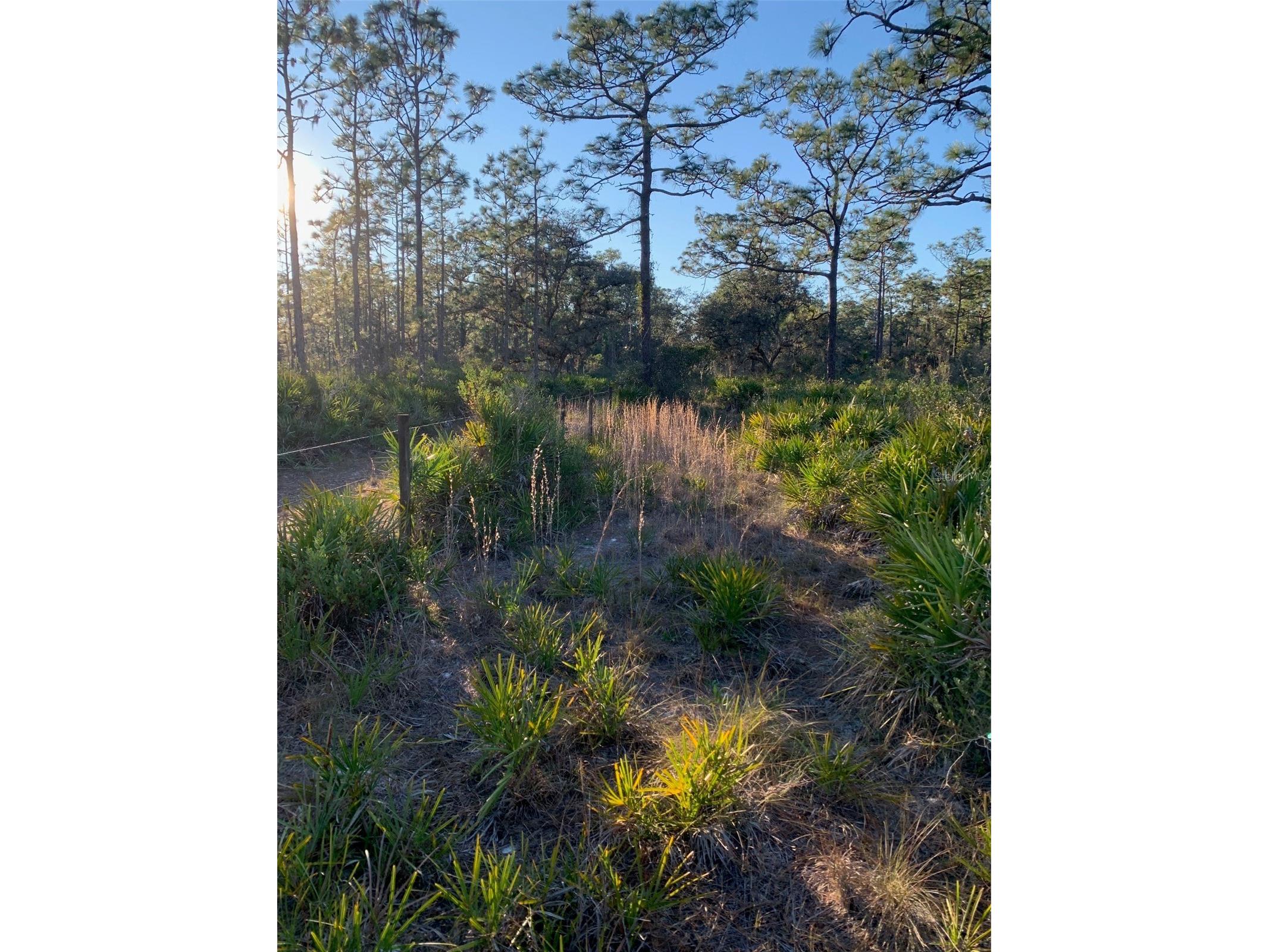 49 Fenny Bosk Trail Venus FL 33960 B4902161 image10