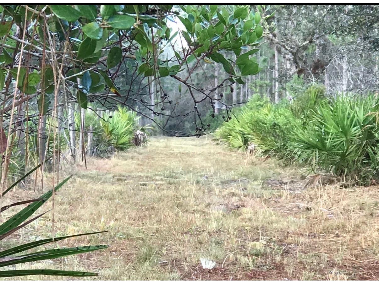 49 Fenny Bosk Trail Venus FL 33960 B4902161 image11