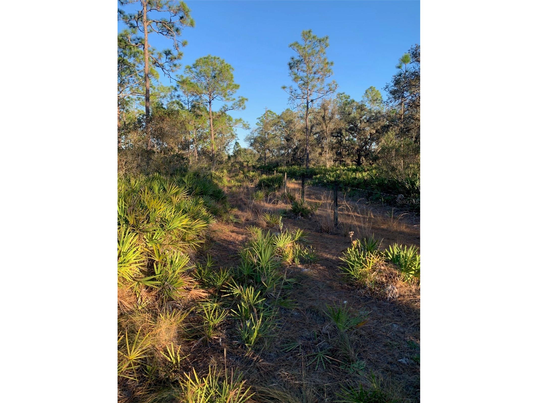 49 Fenny Bosk Trail Venus FL 33960 B4902161 image12