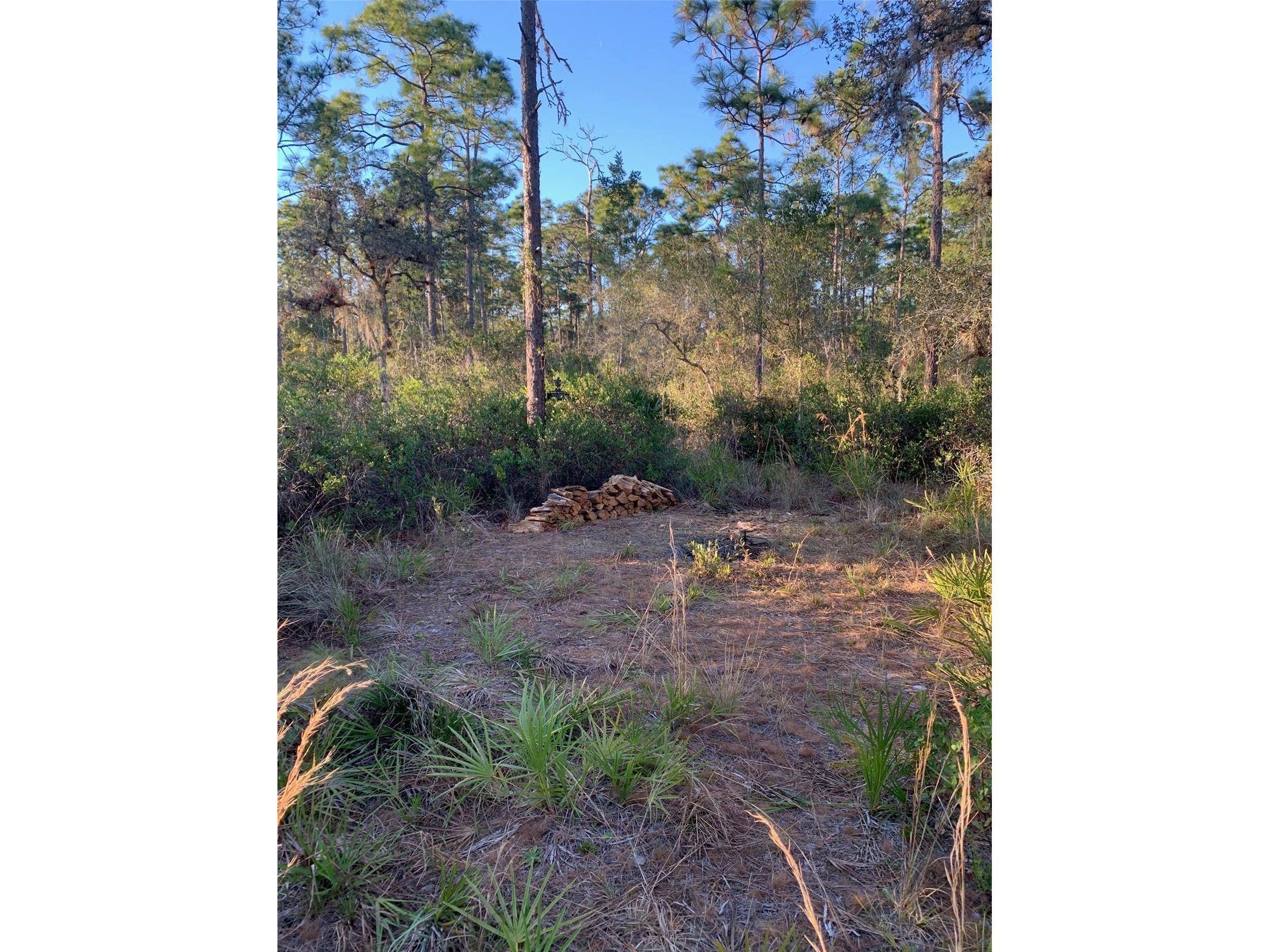 49 Fenny Bosk Trail Venus FL 33960 B4902161 image13