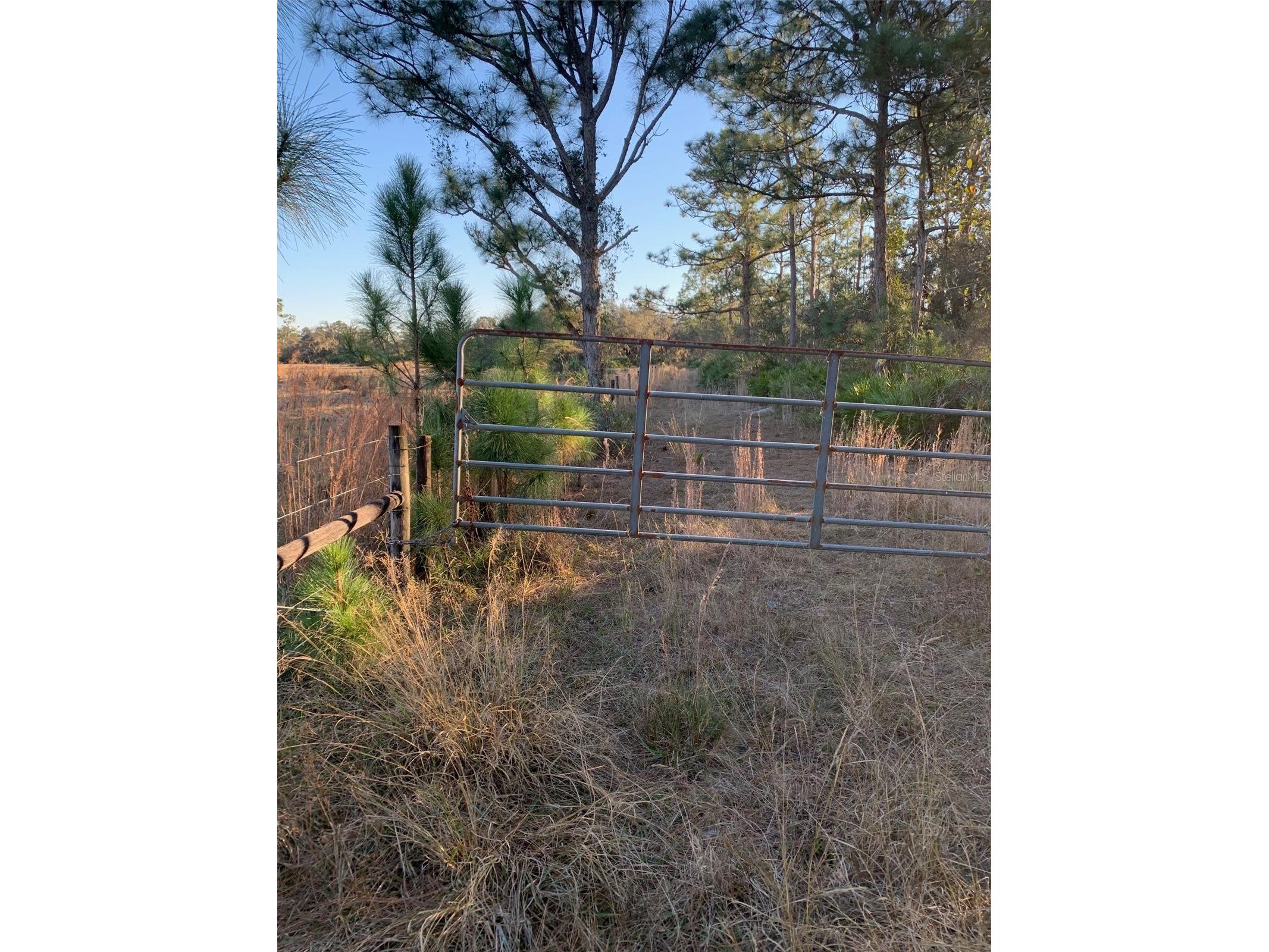 49 Fenny Bosk Trail Venus FL 33960 B4902161 image16