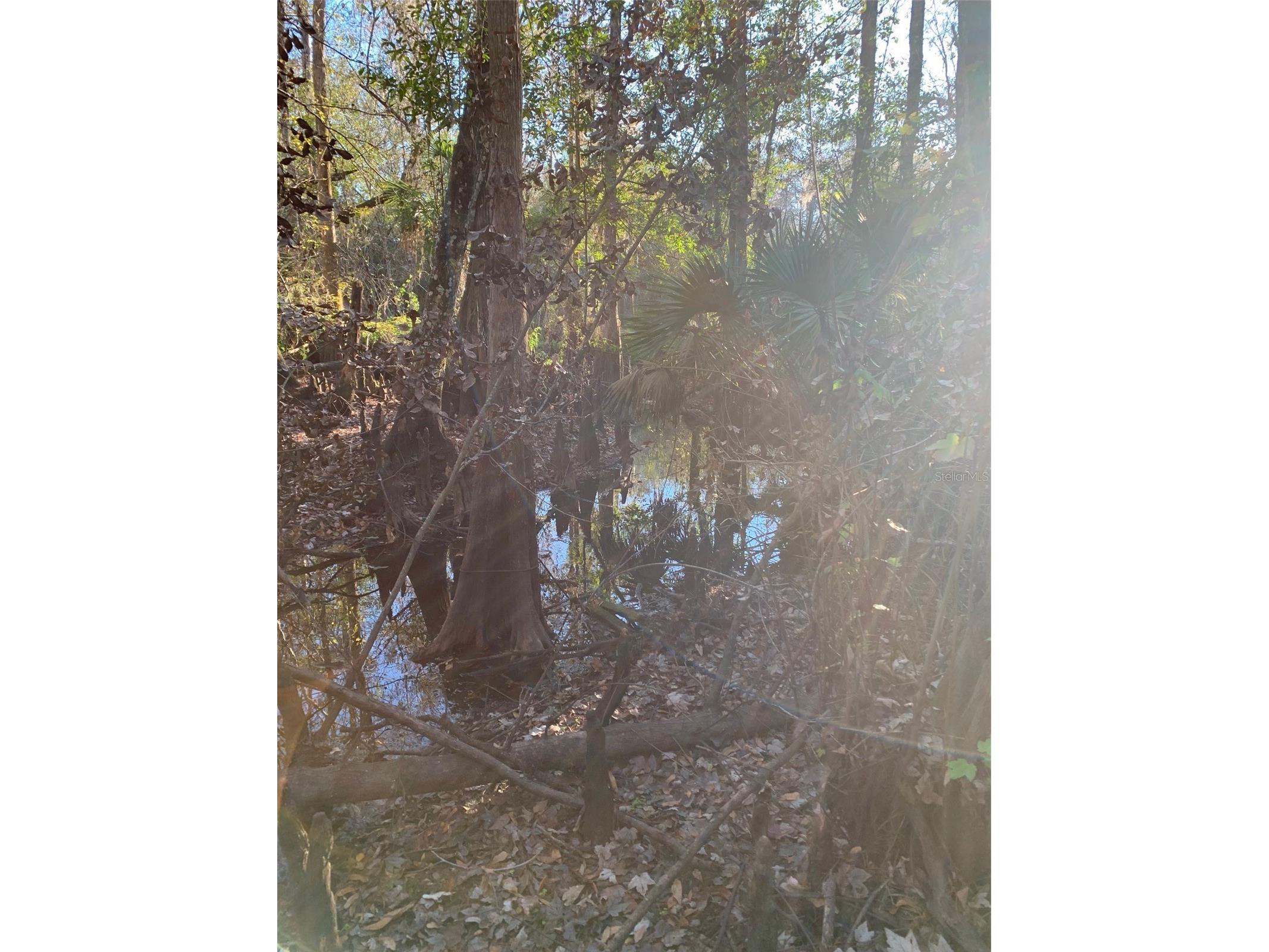 49 Fenny Bosk Trail Venus FL 33960 B4902161 image17