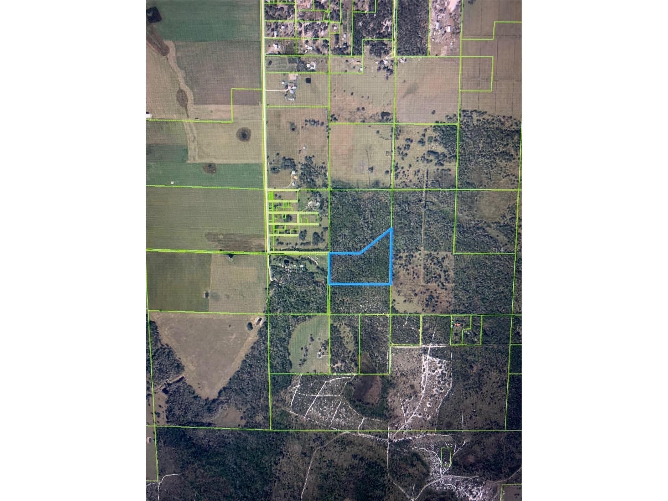 49 Fenny Bosk Trail Venus FL 33960 B4902161 image19