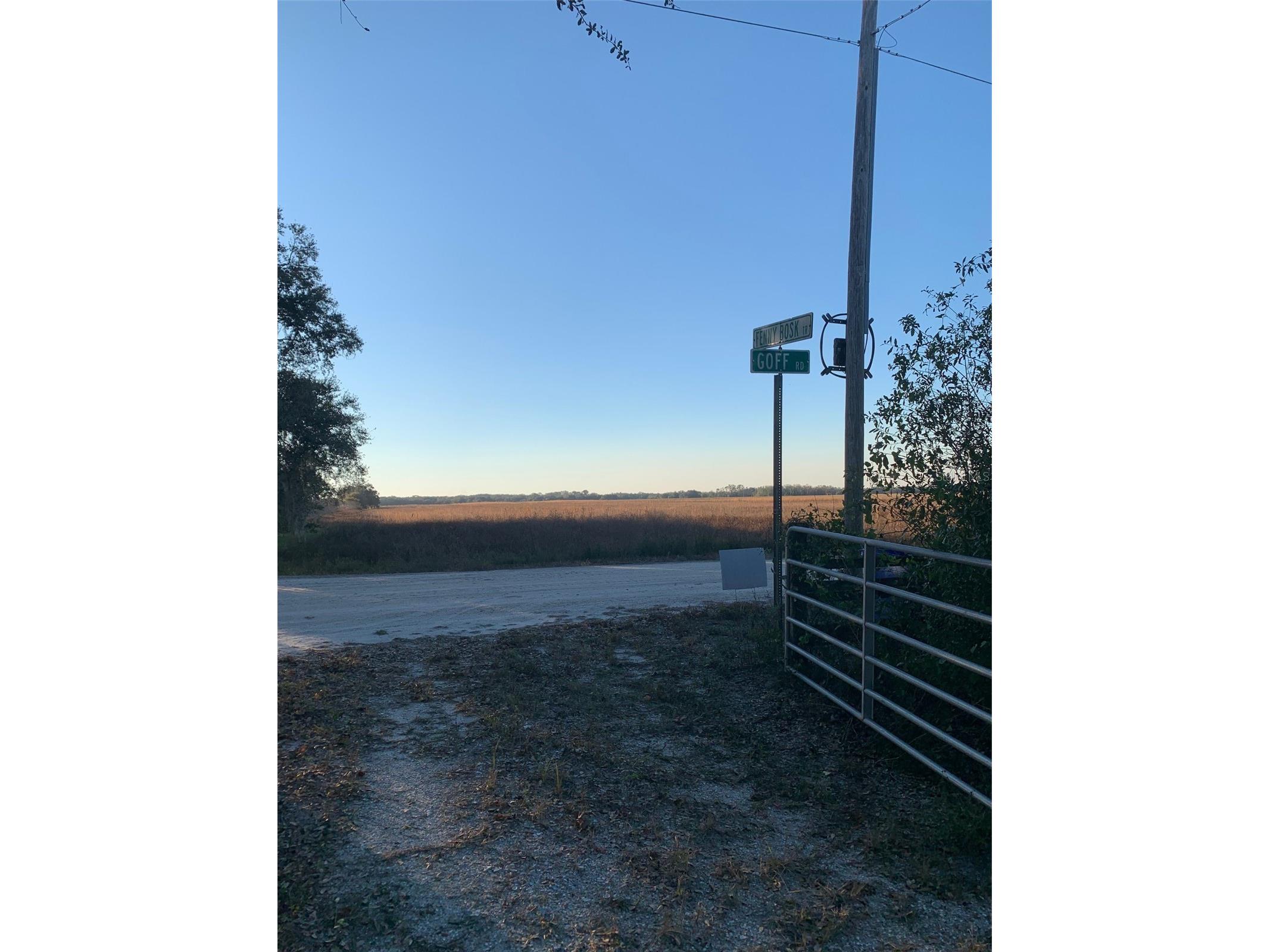 49 Fenny Bosk Trail Venus FL 33960 B4902161 image2