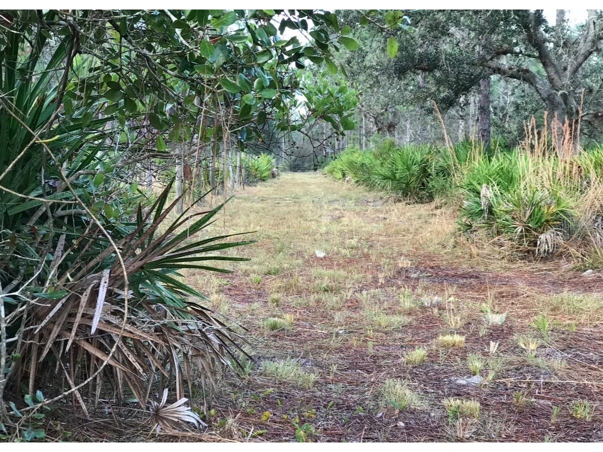49 Fenny Bosk Trail Venus FL 33960 B4902161 image21