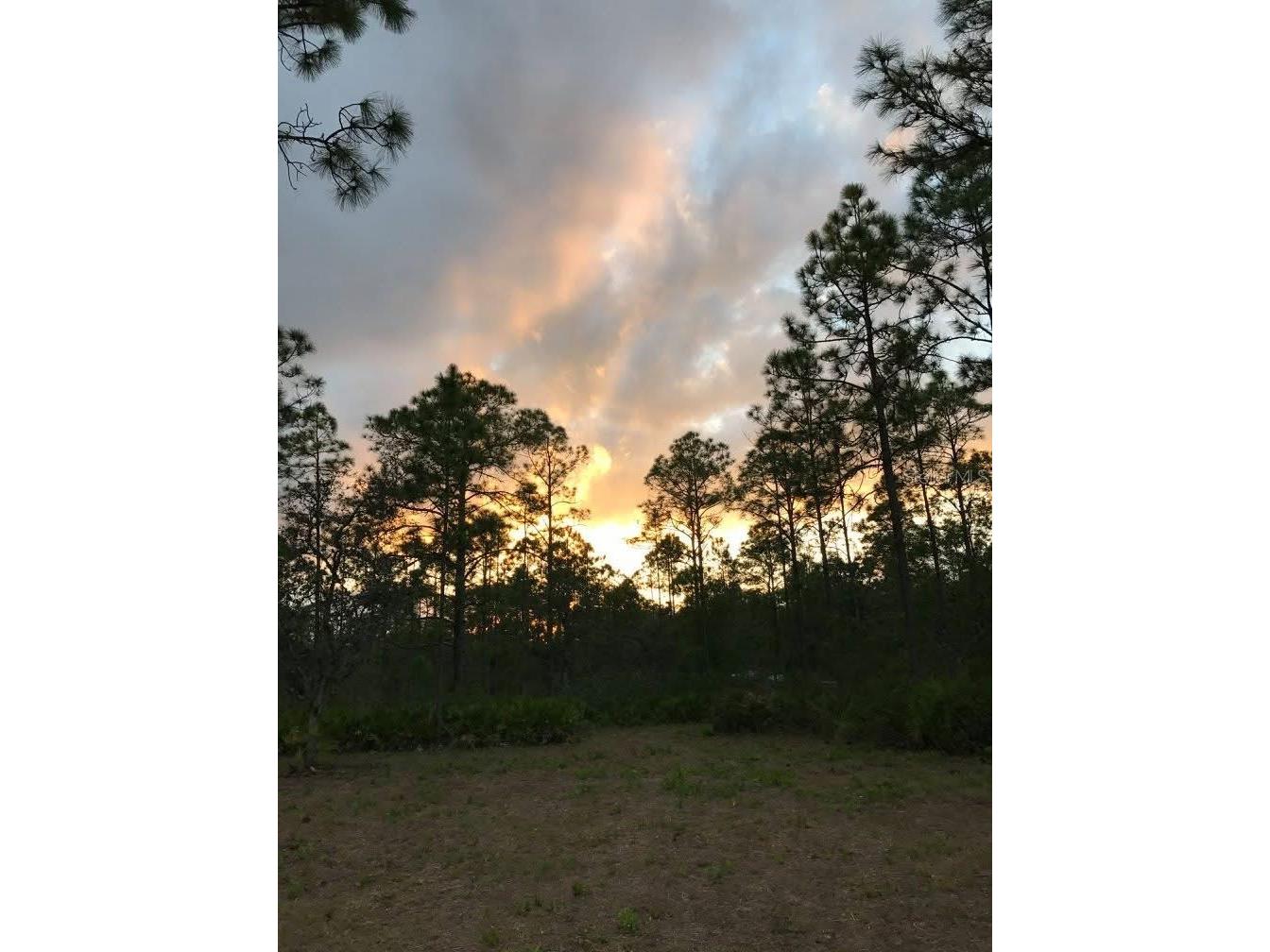 49 Fenny Bosk Trail Venus FL 33960 B4902161 image26
