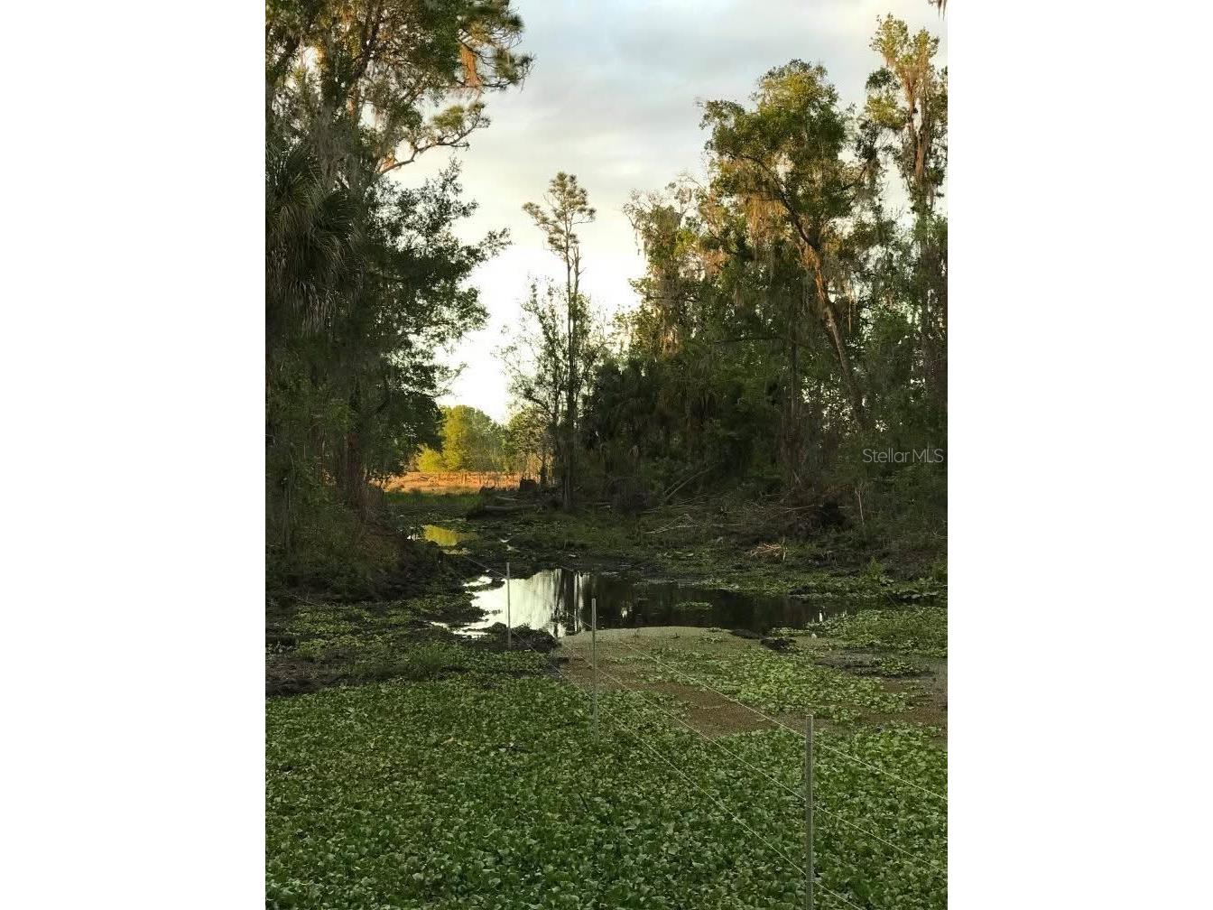 49 Fenny Bosk Trail Venus FL 33960 B4902161 image27