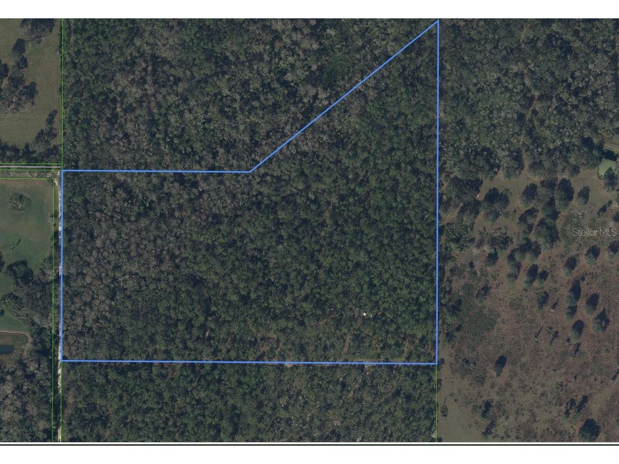 49 Fenny Bosk Trail Venus FL 33960 B4902161 image3