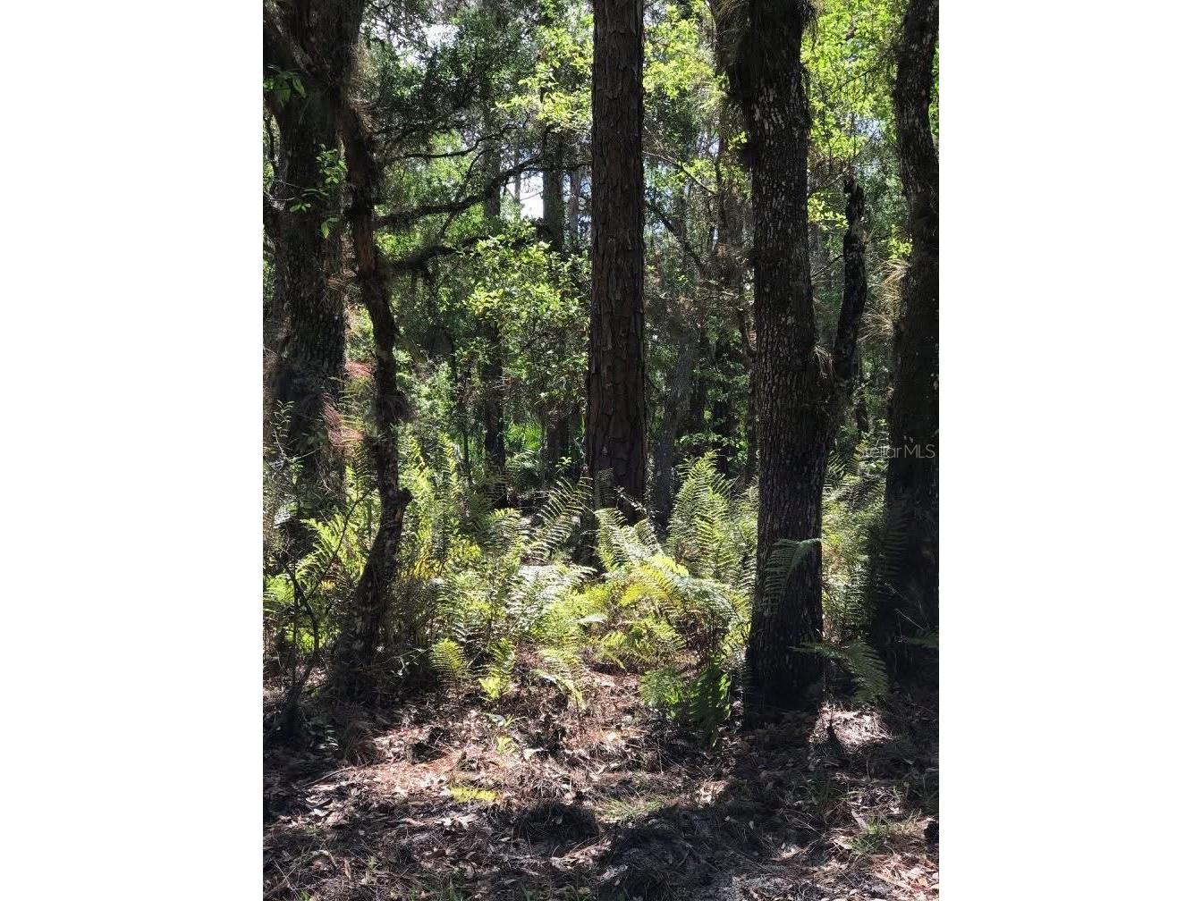 49 Fenny Bosk Trail Venus FL 33960 B4902161 image30