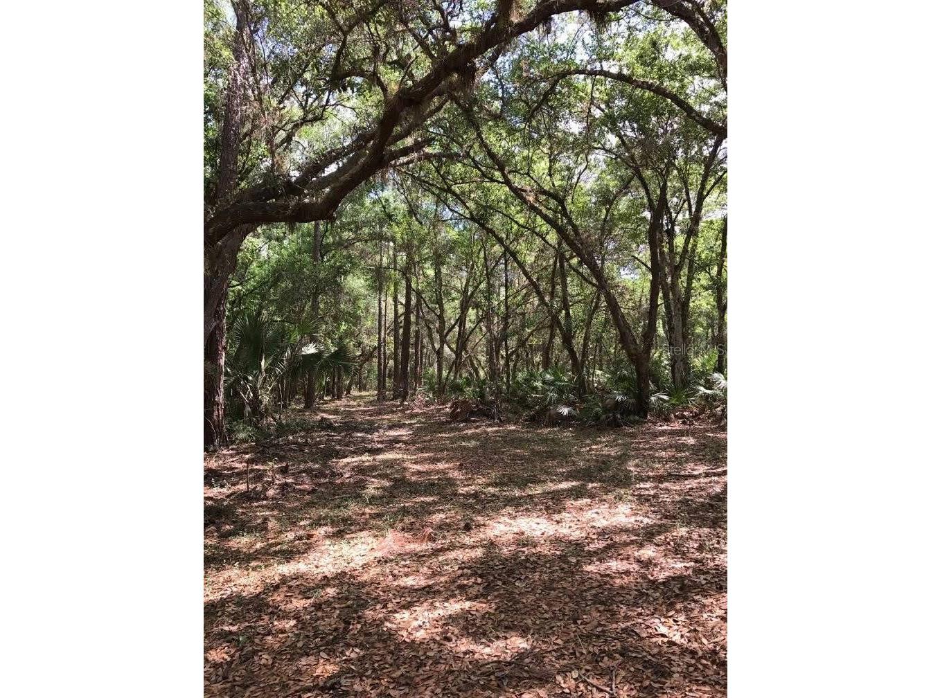 49 Fenny Bosk Trail Venus FL 33960 B4902161 image32