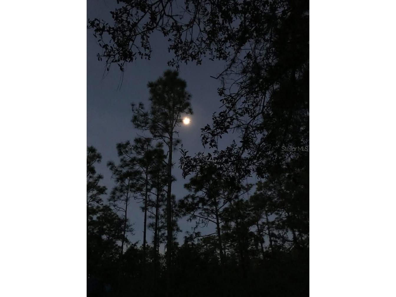 49 Fenny Bosk Trail Venus FL 33960 B4902161 image33