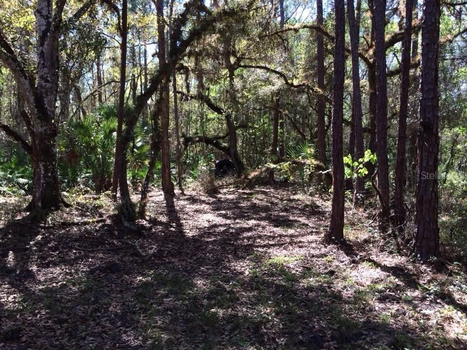 49 Fenny Bosk Trail Venus FL 33960 B4902161 image36