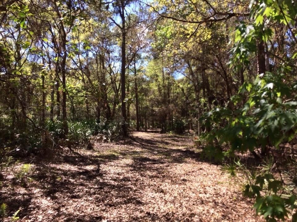49 Fenny Bosk Trail Venus FL 33960 B4902161 image40