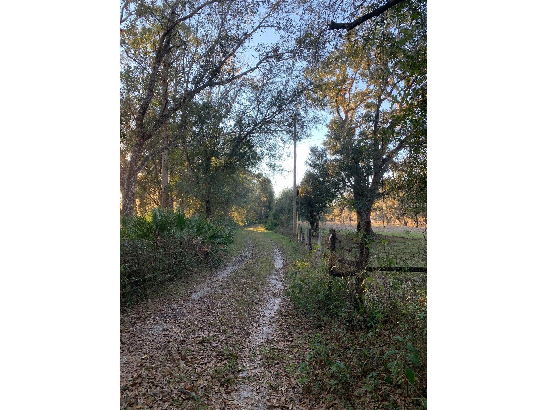 49 Fenny Bosk Trail Venus FL 33960 B4902161 image6