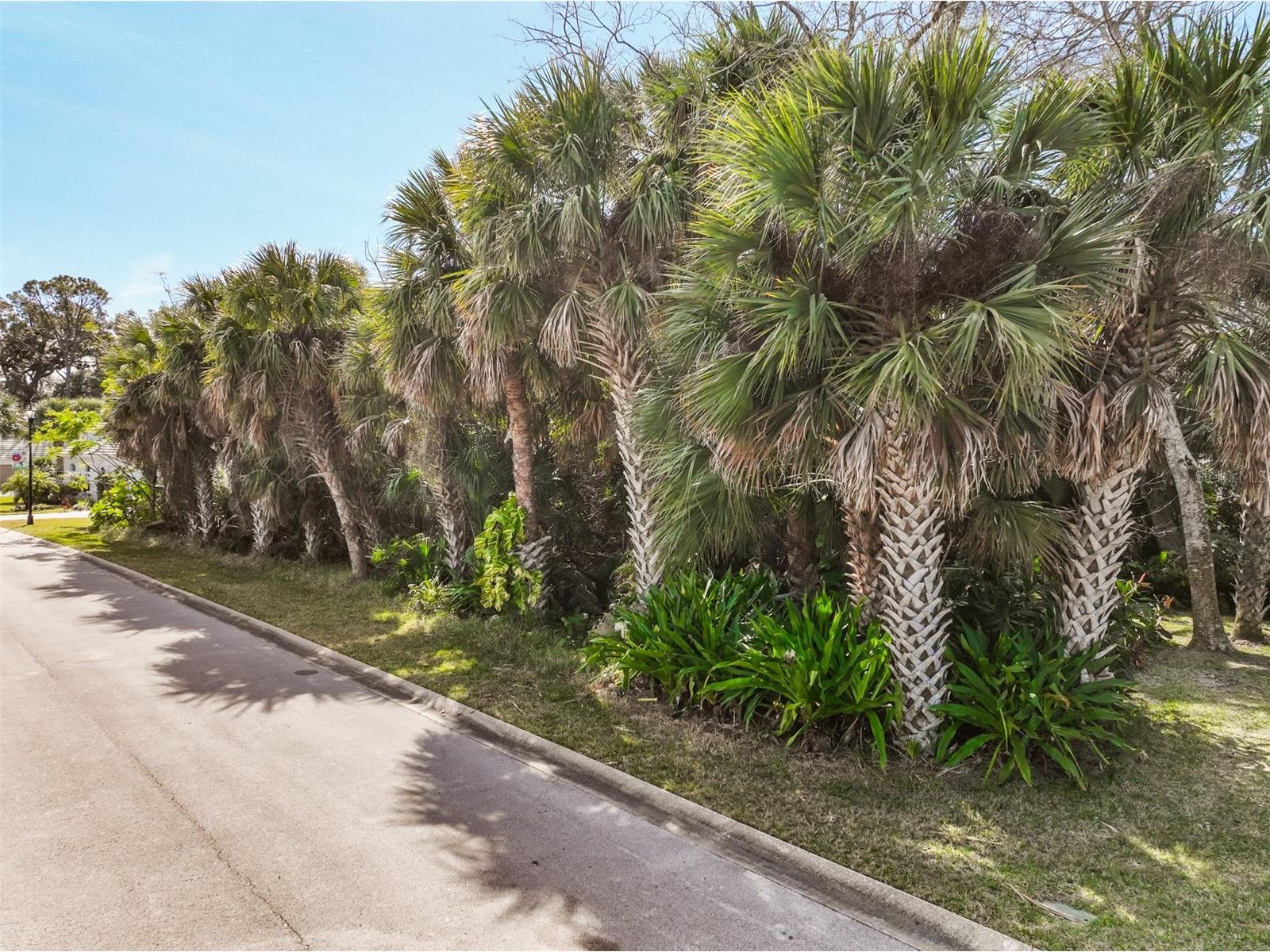 49 Longview Way N Palm Coast FL 32137 FC315563 image18