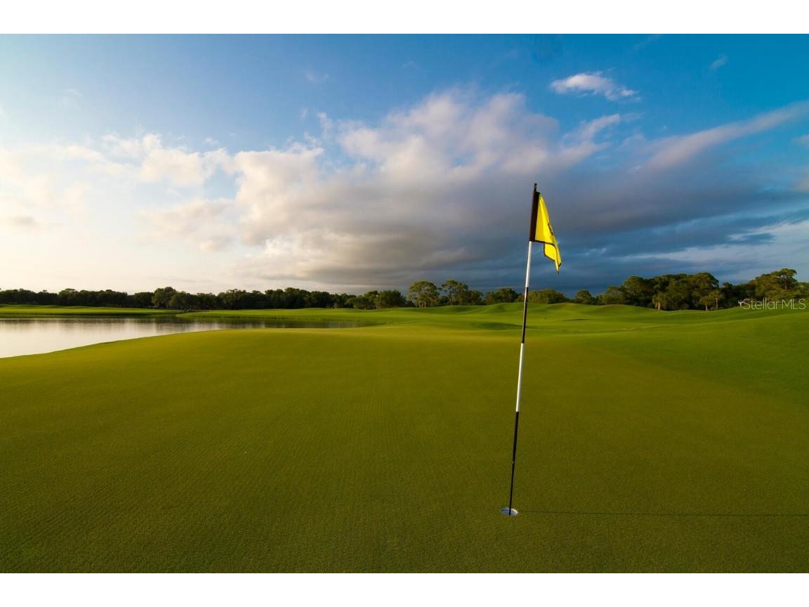 49 Osprey Point Drive Osprey FL 34229 A4671762 image90