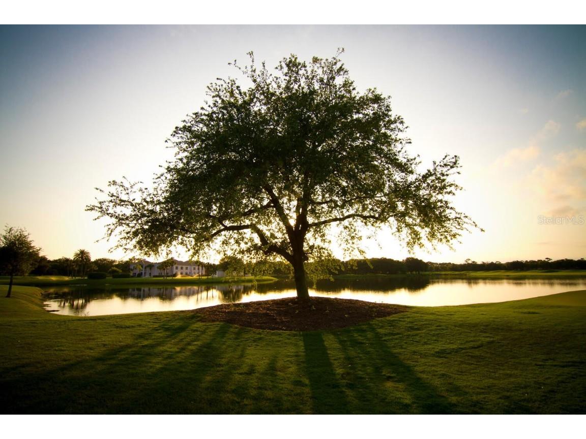 49 Osprey Point Drive Osprey FL 34229 A4671762 image93