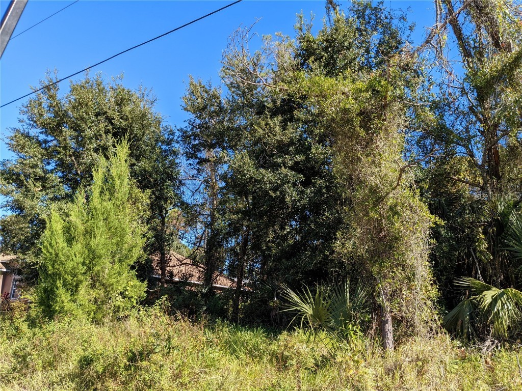 49 Pilgrim Drive Palm Coast FL 32164 S5059218 image1