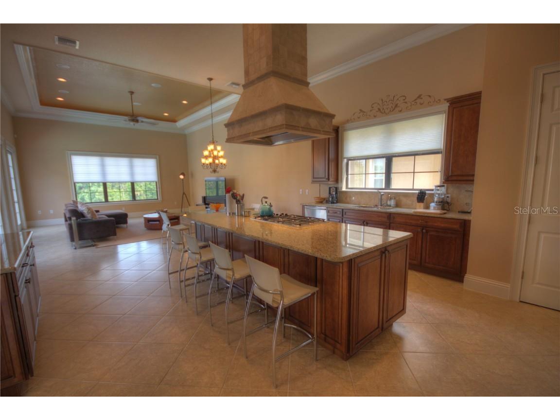 490 Muirfield Loop Reunion FL 34747 O6322422 image13