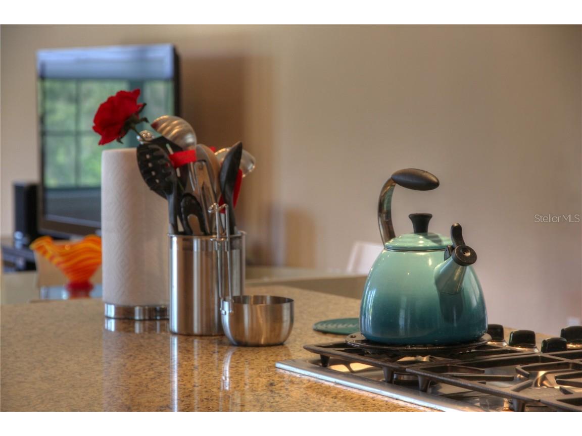 490 Muirfield Loop Reunion FL 34747 O6322422 image14