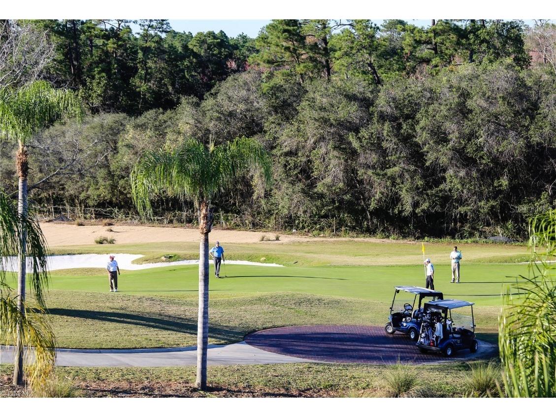 490 Muirfield Loop Reunion FL 34747 O6322422 image40