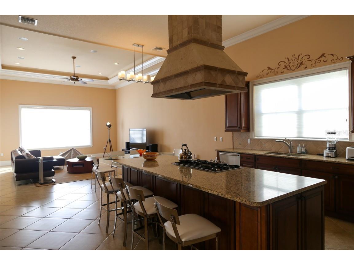 490 Muirfield Loop Reunion FL 34747 O6322422 image72